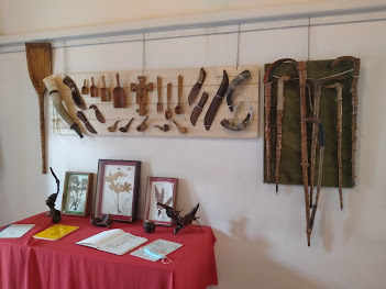 MUSEO PIANEZZA CARREGA