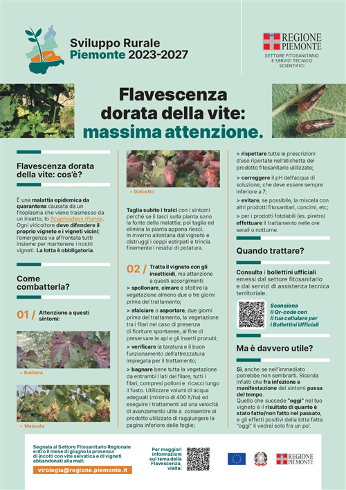 Aggiornamenti sullapplicazione in Piemonte dellOrdinanza n. 4 del Direttore del Servizio Fitosanitario Centrale del 22 giugno 2023
recante â€œMisure fitosanitarie d'emergenza per il contrasto di Grapevine flavescence dorée phytoplasma atte ad impedirne la diffusione nel territorio della Repubblica.